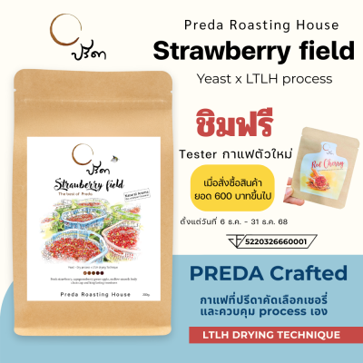 Strawberry field (Yeast Dry Process x LTLH)