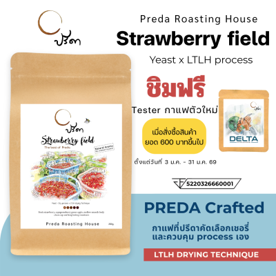 Strawberry field (Yeast Dry Process x LTLH)