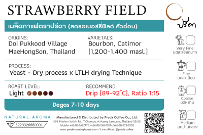 PREDA Strawberry field  PREDA Strawberry field