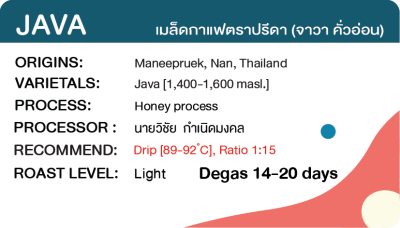 JAVA (Honey process)