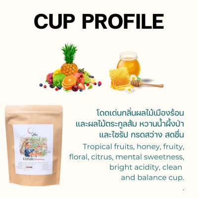 Klohaki Black Honey Light Klohaki Black Honey Light