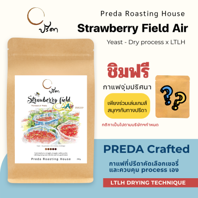 Strawberry field Air (Yeast Dry Process x LTLH)