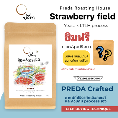 Strawberry field (Yeast Dry Process x LTLH)