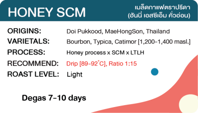 Honey SCM LTLH