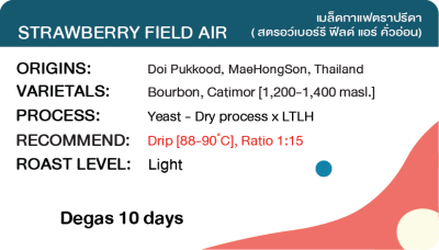 Strawberry field Air (Yeast Dry Process x LTLH)