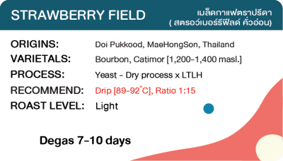 Strawberry field (Yeast Dry Process x LTLH)