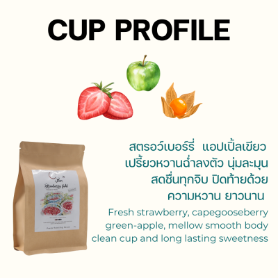 Strawberry field (Yeast Dry Process x LTLH) Strawberry field (Yeast Dry Process x LTLH)