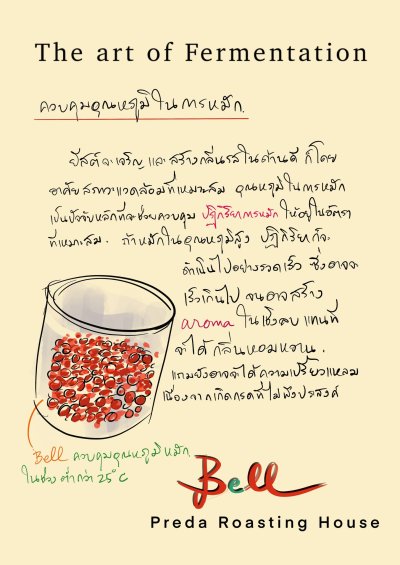 Bell (Yeast Dry Process x LTLH) Bell (Yeast Dry Process x LTLH)