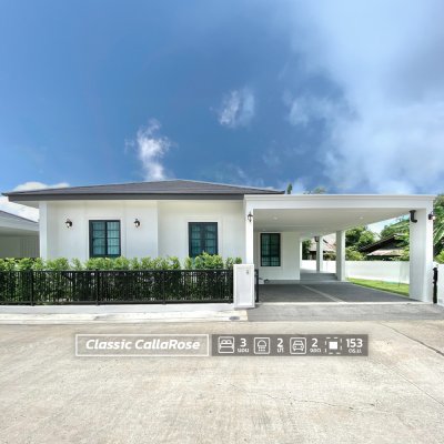 บ้านสันกำแพง เซ้นส์เนเจอร์ โครงการ 19 แปลง 008