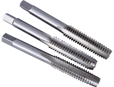 ดอกต๊าปมือ ดอกต๊าปมือ