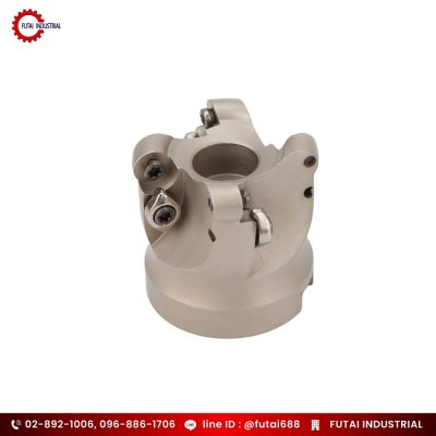 หัวปาด หัวปาด