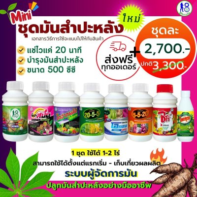 ชุดมันสำปะหลัง ขนาด 500 ซีซี ะบบผู้จัดการมัน