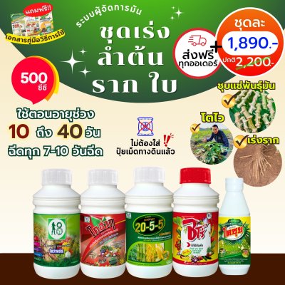 ชุดเร่งลำต้น ราก ใบ ระบบผู้จัดการมัน ขนาด 500 ซีซี