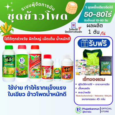 ชุดข้าวโพด ระบบผู้จัดการมัน