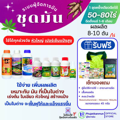 ชุดมันสำปะหลังใหม่ ระบบผู้จัดการมัน