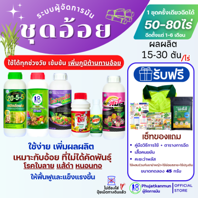 ชุดปลูกอ้อยสูตรมีโคฮากุ ระบบผู้จัดการมัน