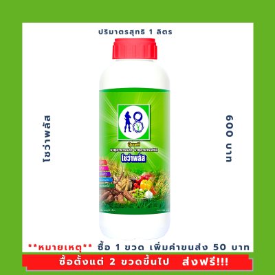 โชว่าพลัส (Showa Plus)