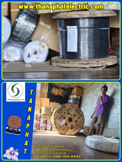 รวมผลงาน 7