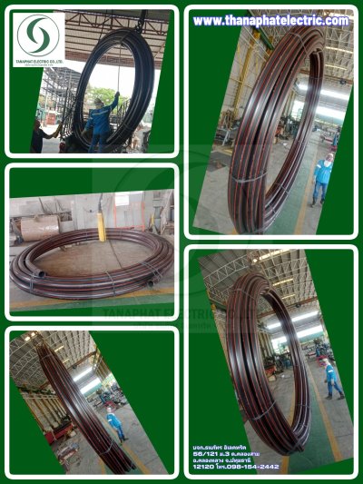 รวมผลงาน 6