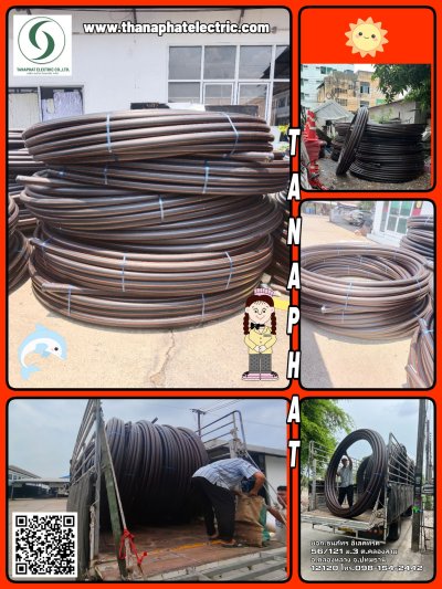 รวมผลงาน 7