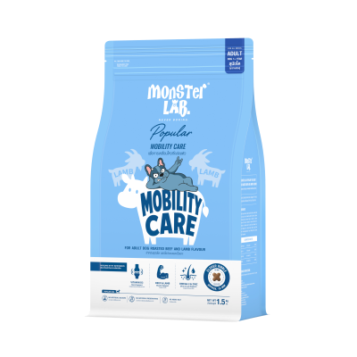 MOBILITY CARE