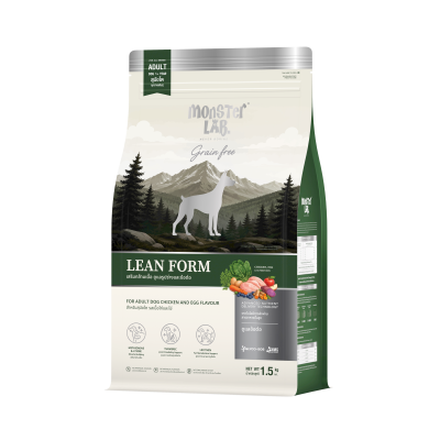 LEAN FORM