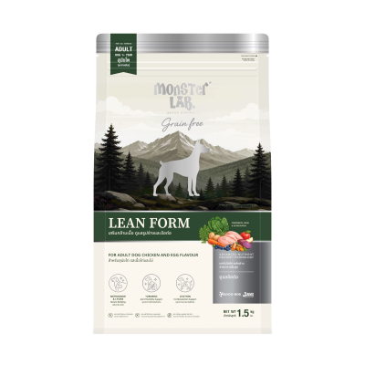 LEAN FORM