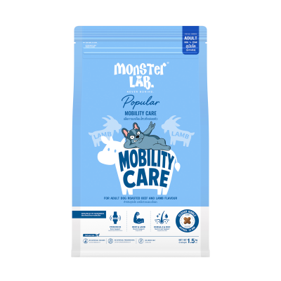 MOBILITY CARE