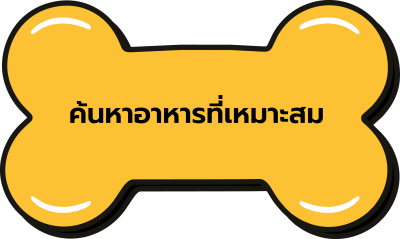 ค้นหาอาหารที่เหมาะสม