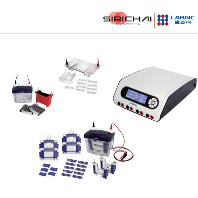 Electrophoresis System