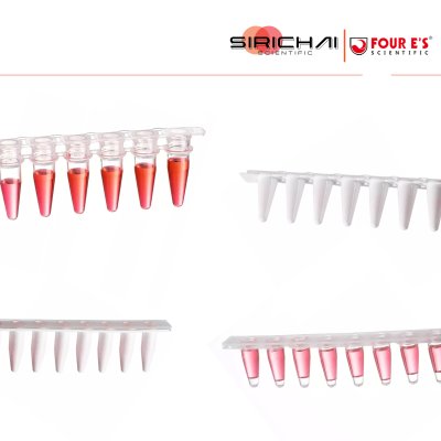 8-strip PCR Tube