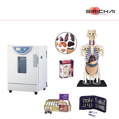 ชีววิทยา-Biology (e.g., Experimental Equipment, Test Kits, Models) ชีววิทยา-Biology (e.g., Experimental Equipment, Test Kits, Models)