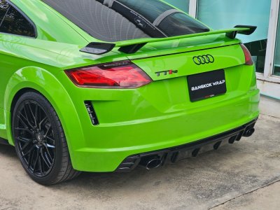 Lizard Green