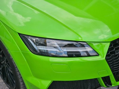 Lizard Green