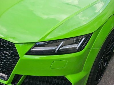 Lizard Green