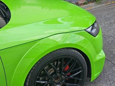 Lizard Green