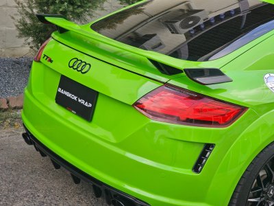 Lizard Green