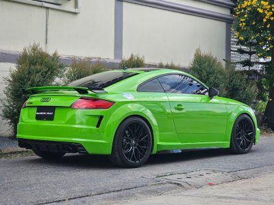 Lizard Green