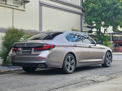 Carpi Grey Purple