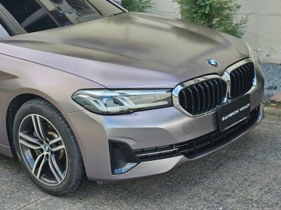 Carpi Grey Purple