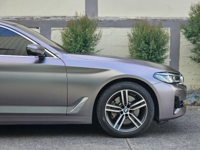 Carpi Grey Purple