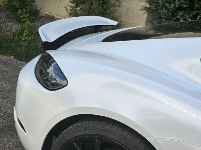 Gloss Metallic Pearl White
