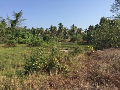 Koh Phra Thong, Phang Nga