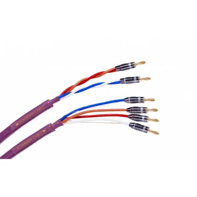 TCHERNOV CABLE CLASSIC BI-WIRE MKII SC Bn/Bn (1.65 M.)