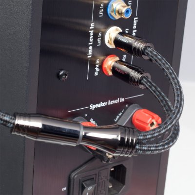 Pangea Audio Xtreme™ Flexible Y Adapter
