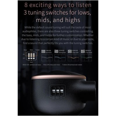 FiiO FH5S หูฟัง 4 ไดรเวอร์ 2DD+2BA