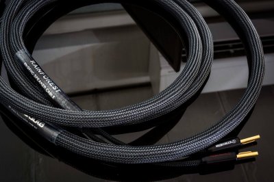 INCRECABLE RAIN FOREST SPEAKER CABLE