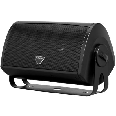 Definitive Technology AW 5500 Loudspeaker