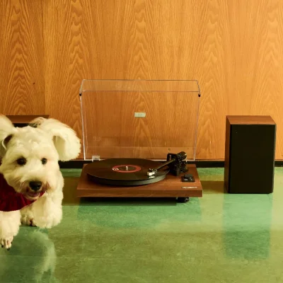 HENRY Hi-Fi Turntable with Bookshelf Speakers