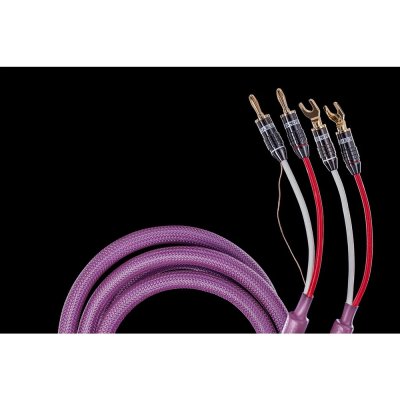 TCHERNOV CABLE CLASSIC XS SC Sp/Bn (1.65 M.)